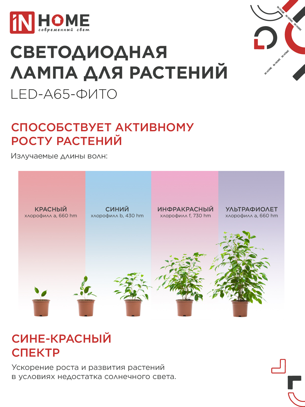 Лампа светодиодная LED-A65 STD-ФИТО красно-синий спектр 25Вт 230В Е27 IN HOME в Находке