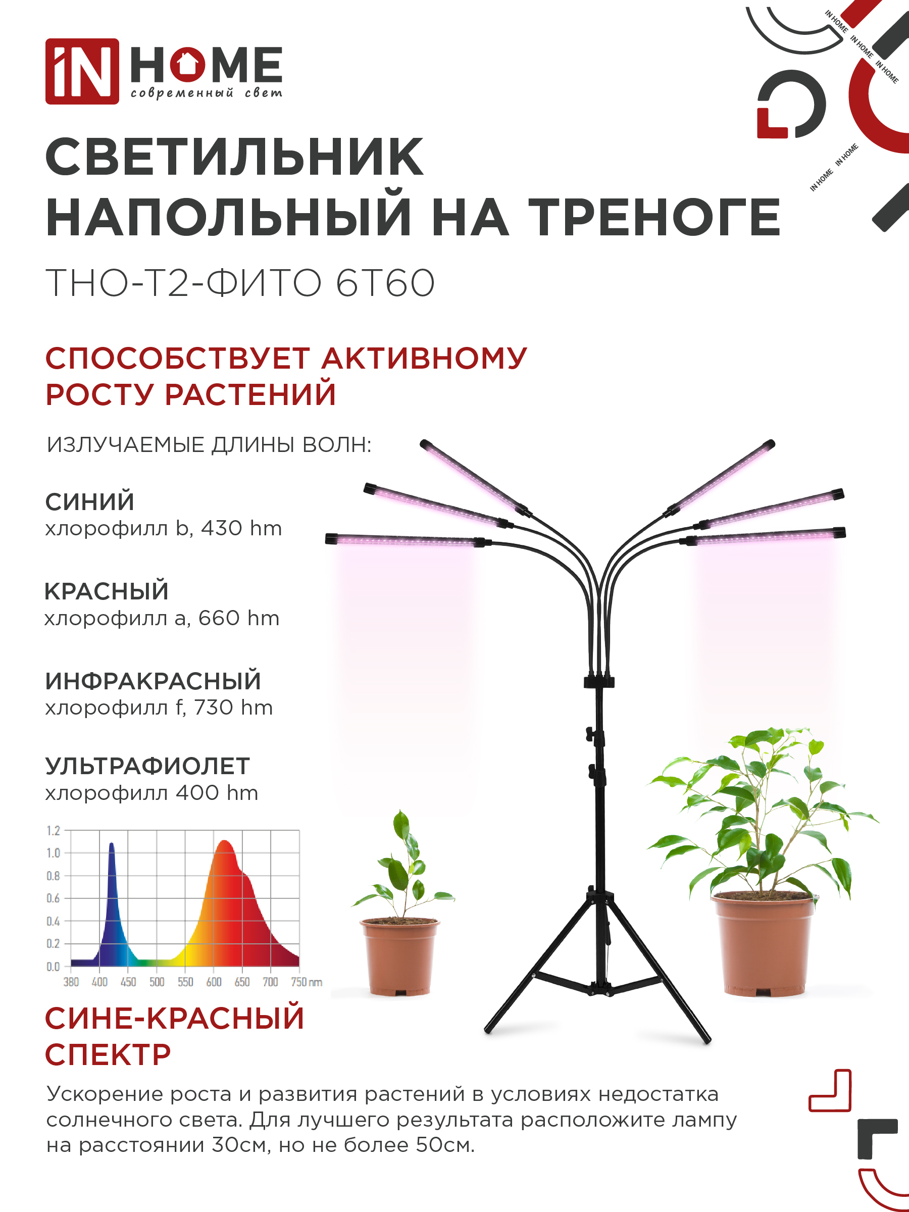 Светильник напольный на треноге светодиодный ТНО-Т2-ФИТО красно-синий 6Т60 60Вт 6 плафонов, пульт на шнуре IN HOME в Находке