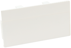 Заглушка торцевая SPL для кабель-канала 100х50 в Находке