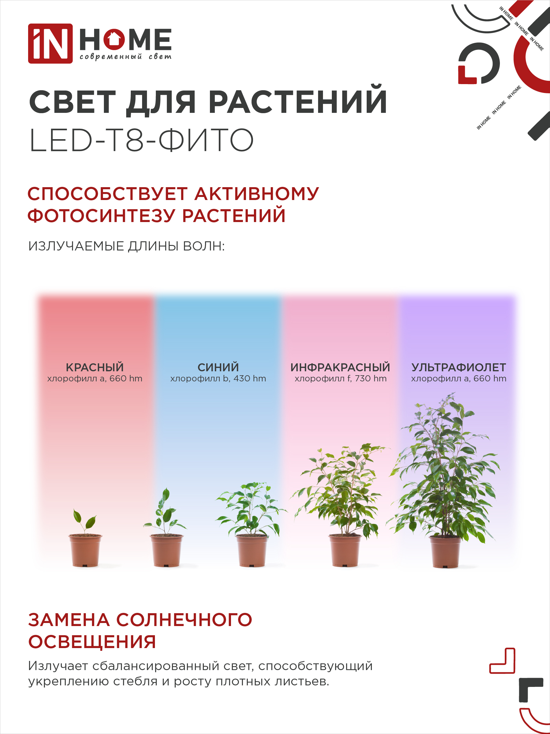 Лампа светодиодная LED-T8-ФИТО 10Вт 230В G13 600мм IN HOME в Находке