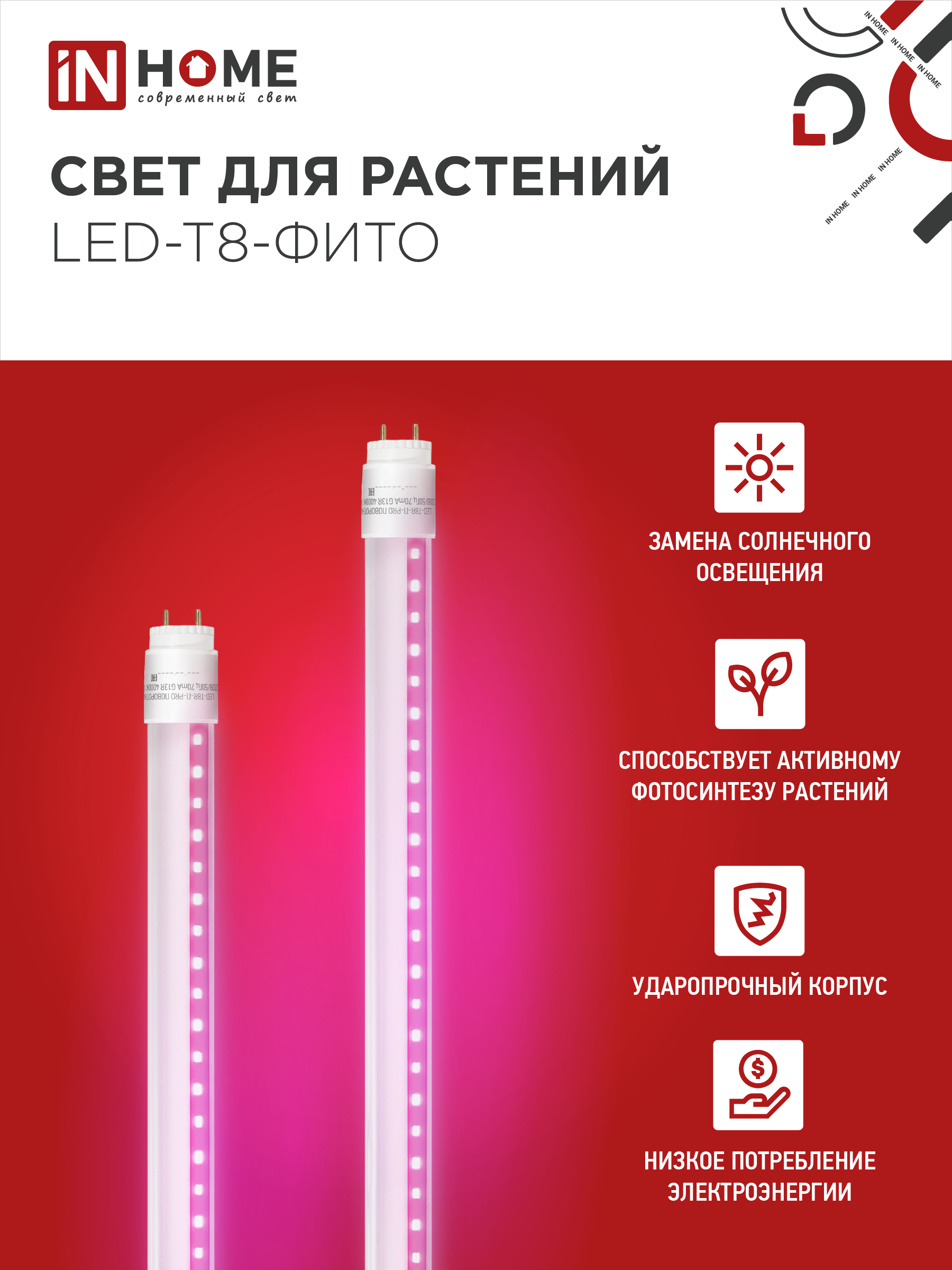 Лампа светодиодная LED-T8-ФИТО 10Вт 230В G13 600мм IN HOME в Находке