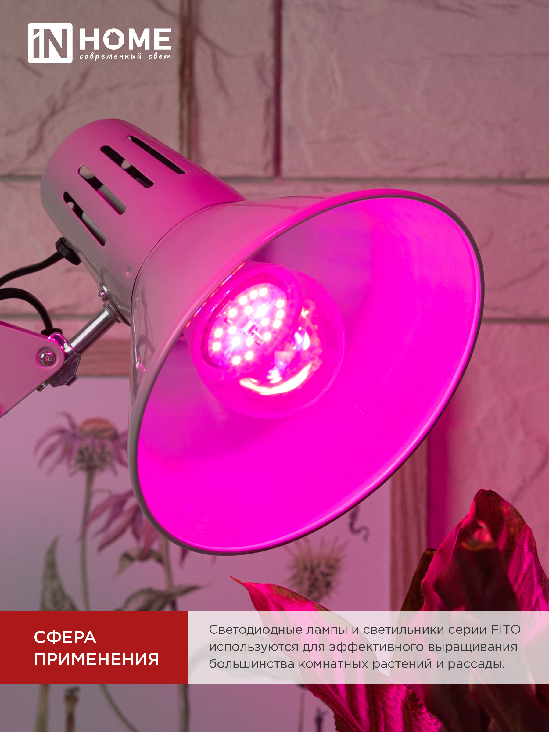 Лампа светодиодная LED-A60 STD-ФИТО красно-синий спектр 15Вт 230В Е27 IN HOME в Находке