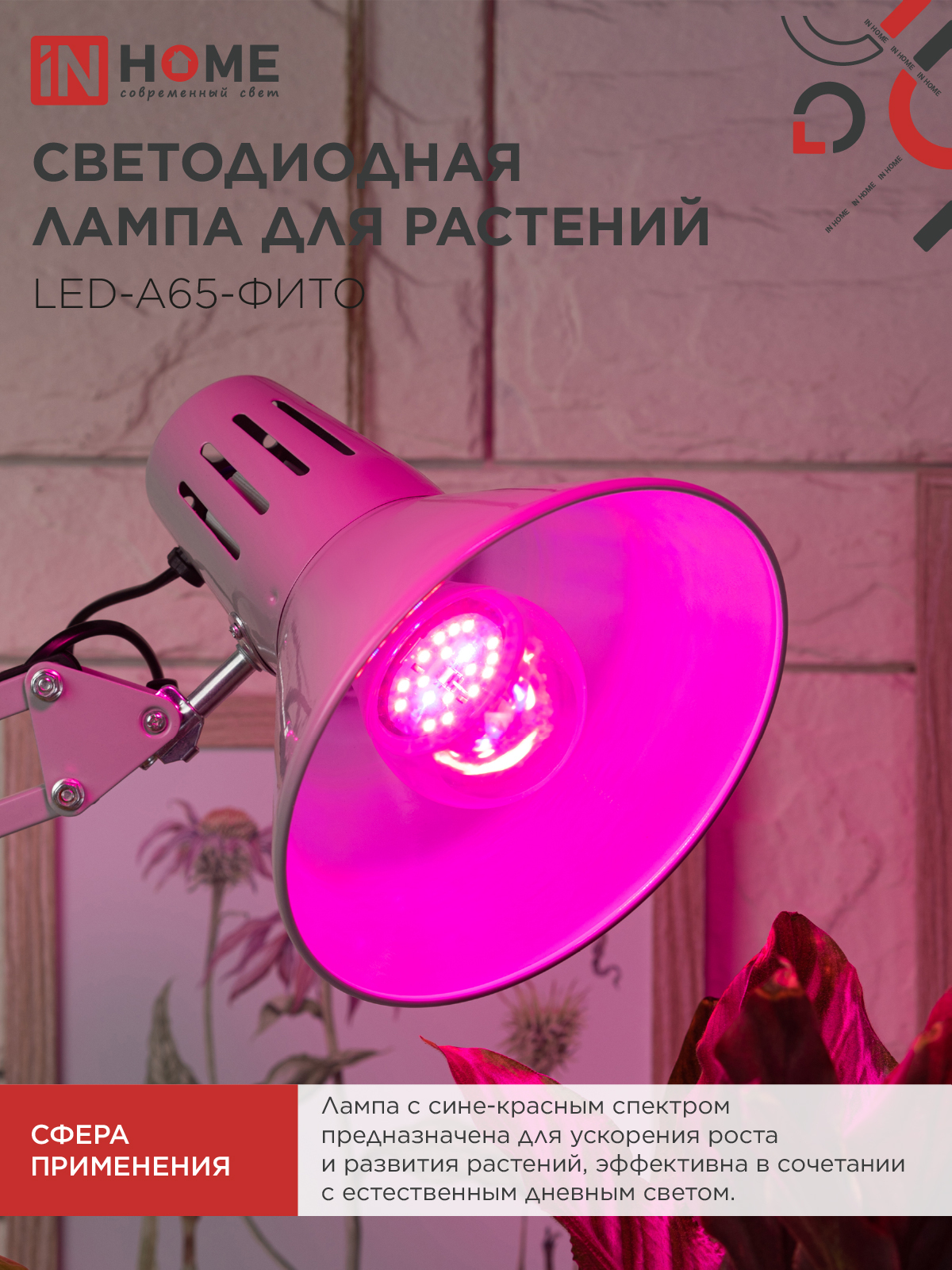 Лампа светодиодная LED-A65 STD-ФИТО красно-синий спектр 25Вт 230В Е27 IN HOME в Находке