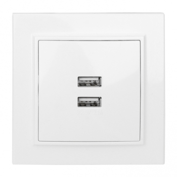 Розетка USB двойная Минск EKF белая в Находке