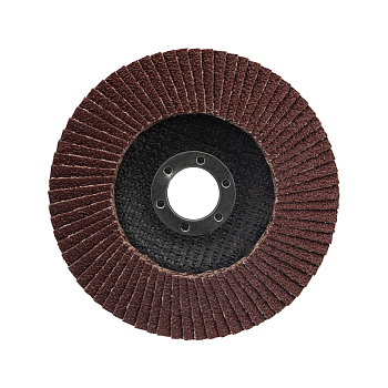 Круг лепестковый торцевой P 60 125х22,2 мм REXANT в Находке