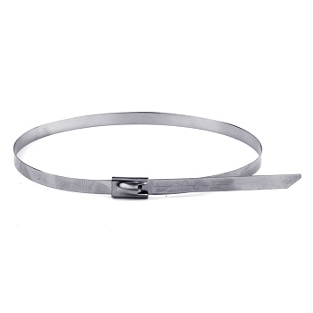 Хомут из нержавеющей стали AISI 304 4,6х300 DKC в Находке