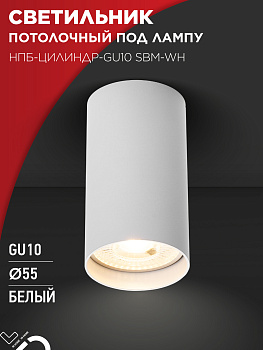 Светильник потолочный НПБ-ЦИЛИНДР-GU10 SBM-WH под GU10 55х100мм белый IN HOME в Находке