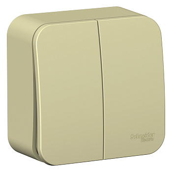 Выключатель двухклавишный (cх.5) BLANCA SE с изолирующей пластиной бежевый в Находке