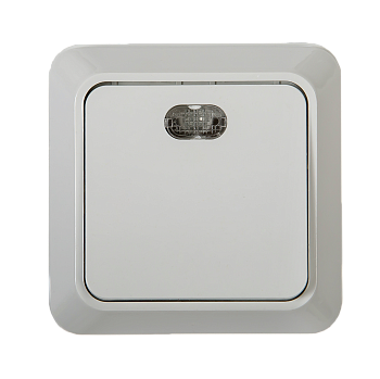 Выключатель одноклавишный с подсветкой BOLLETO белый накладной 7121 IN HOME в Находке