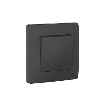 Переключатель одноклавишный  IP44 BLANCA SE антрацит в Находке