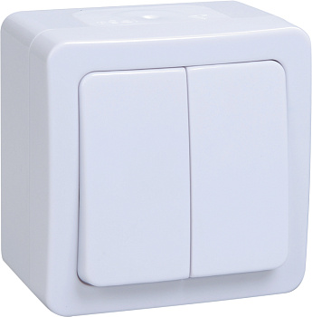 Выключатель двухклавишный накладной ВС20-2-0-ГПБ ГЕРМЕС PLUS IEK IP54 белый в Находке