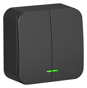 Выключатель двухклавишный BLANCA SE накладной с подсветкой с изолирующей пластиной антрацит в Находке