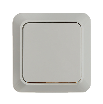 Выключатель одноклавишный BOLLETO белый накладной 7021 IN HOME в Находке