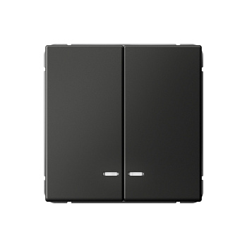 ARTGALLERY 2-клавишный ВЫКЛЮЧАТЕЛЬ с подсветкой, сх.5а, 10АХ, механизм, БАЗАЛЬТ в Находке