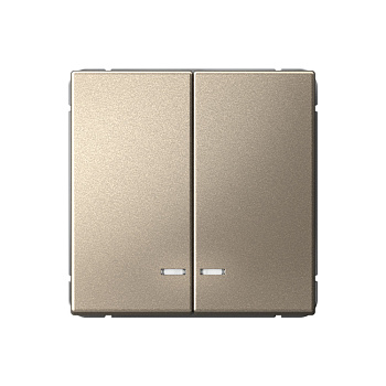 ARTGALLERY 2-клавишный ВЫКЛЮЧАТЕЛЬ с подсветкой, сх.5а, 10АХ, механизм, ШАМПАНЬ в Находке