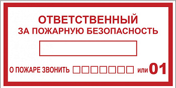 Наклейка "Ответственный за пожарную безопасность" B03 (100х200мм.) EKF PROxima в Находке