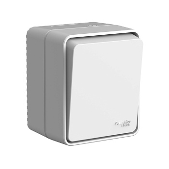 Выключатель одноклавишный AtlasDesign SE Profi54 накладной серый в Находке