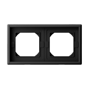 ARTGALLERY 2-постовая РАМКА IP44,  КАРБОН в Находке