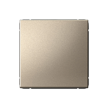 ARTGALLERY 1-клавишный ПЕРЕКЛЮЧАТЕЛЬ, сх.6, 10АХ, механизм, ШАМПАНЬ в Находке