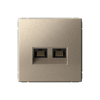 ARTGALLERY РОЗЕТКА двойная компьютерная RJ45+RJ45, кат.6А, механизм, ШАМПАНЬ в Находке