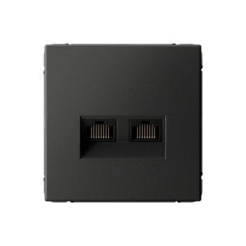 ARTGALLERY РОЗЕТКА двойная компьютерная RJ45+RJ45, кат.6А, механизм, БАЗАЛЬТ в Находке