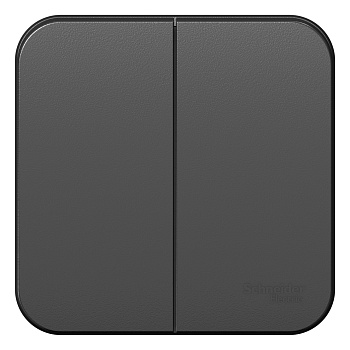 Выключатель двухклавишный BLANCA SE накладной с изолирующей пластиной антрацит в Находке