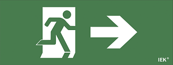 Самоклеящаяся этикетка: "Фигура/стрелка вправо" ДПА IP20/54 IEK в Находке