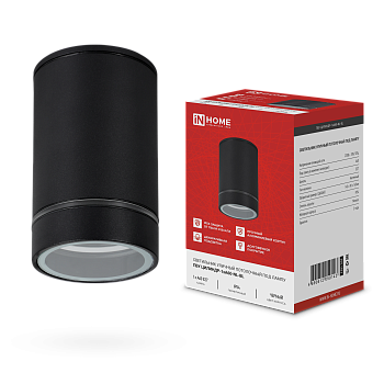 Светильник уличный потолочный ПБУ ЦИЛИНДР-1xА60-NL-BL с подсветкой черный IP54 IN HOME в Находке