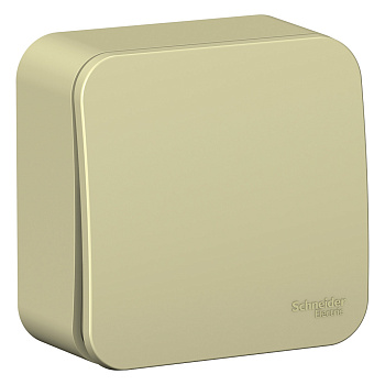 Выключатель одноклавишный (сх.1) BLANCA SE с изолирующей пластиной бежевый в Находке