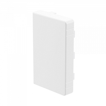 Заглушка торцевая LAN для кабель-канала 100х60 DKC в Находке